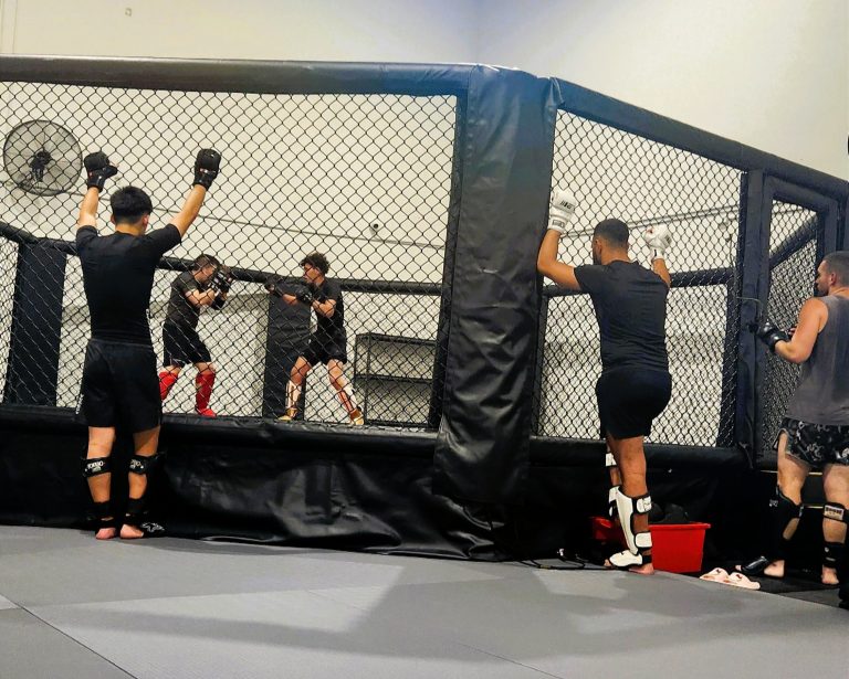MMA Training