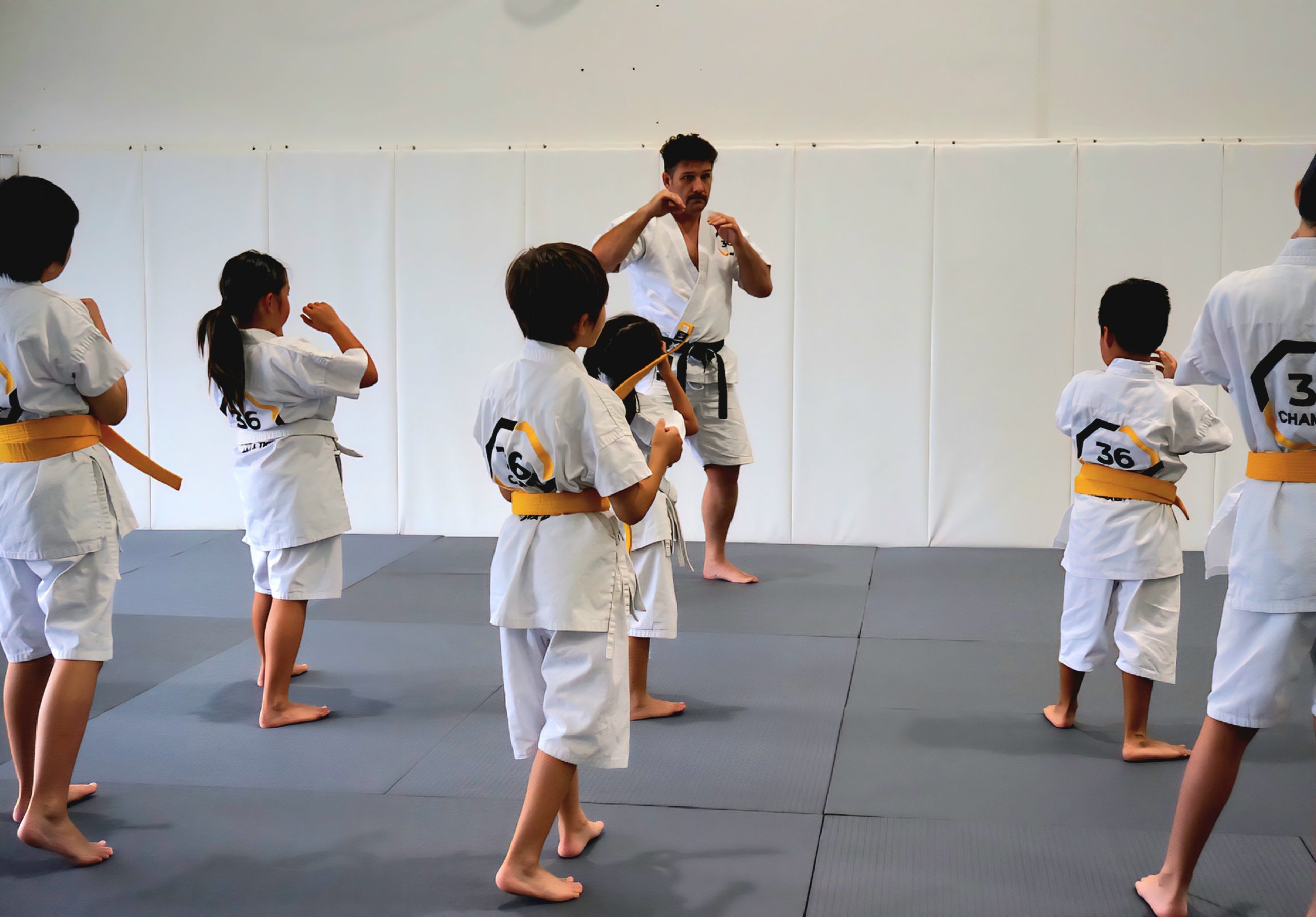 Taekwondo Kids Classes